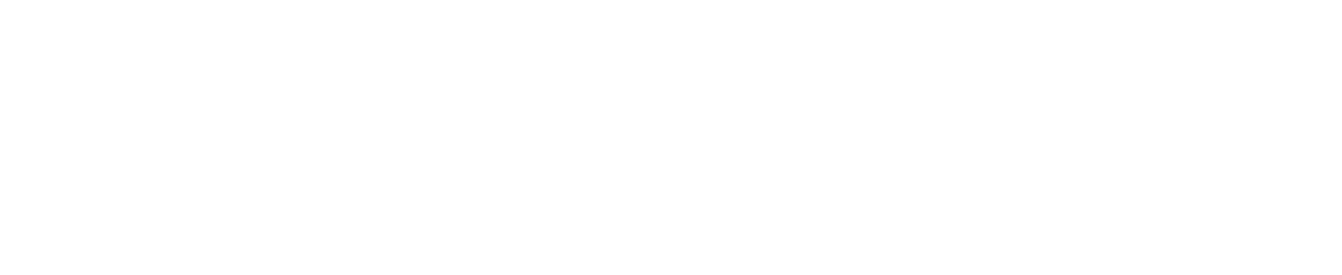 Logo placeholder